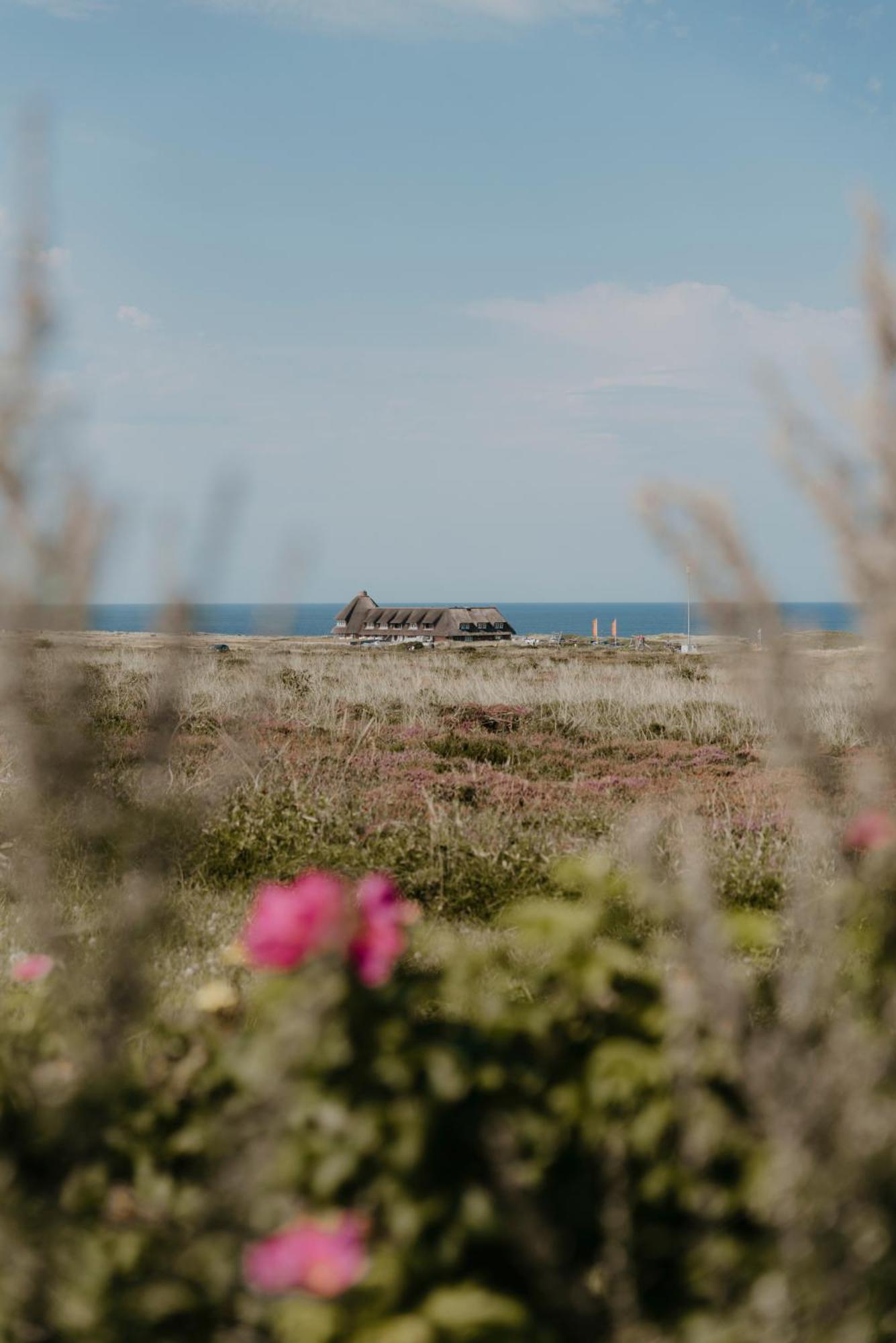 Apartment Im Walters Hof - Sylt